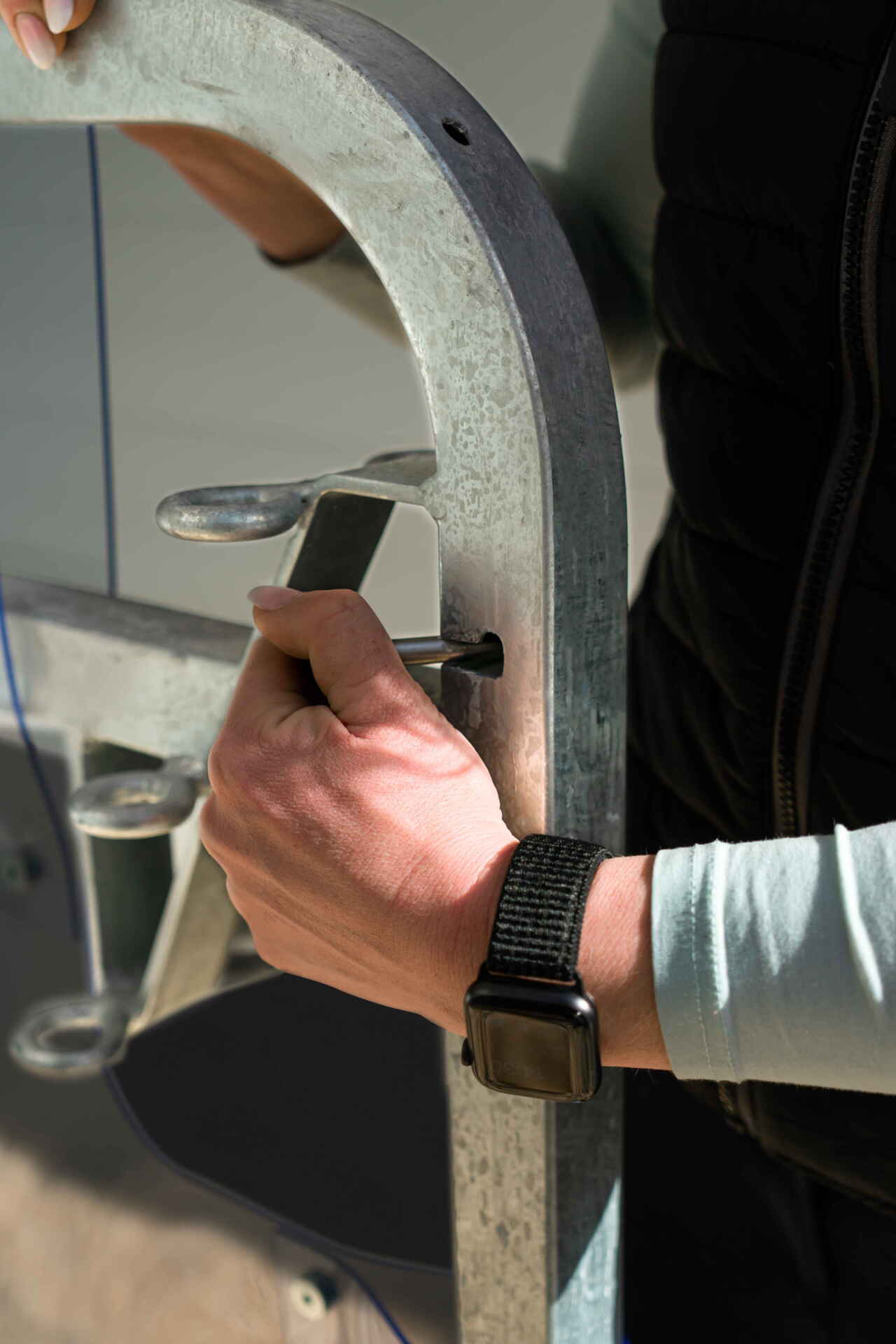 Humbaur Pferdeanhänger Pegasus