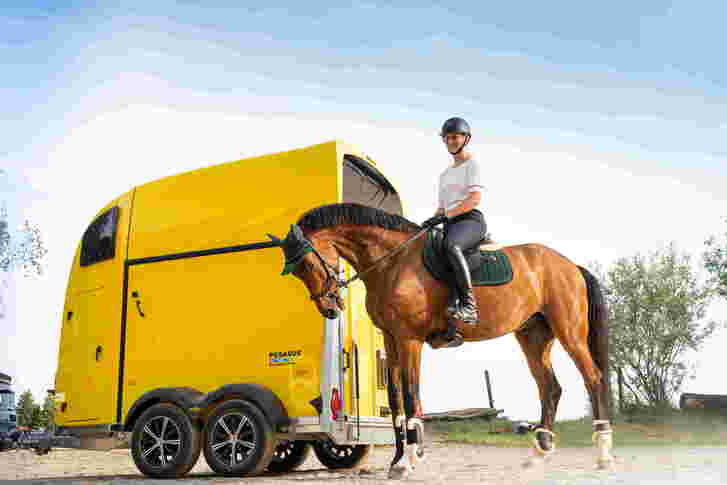Humbaur Pferdeanhänger Pegasus
