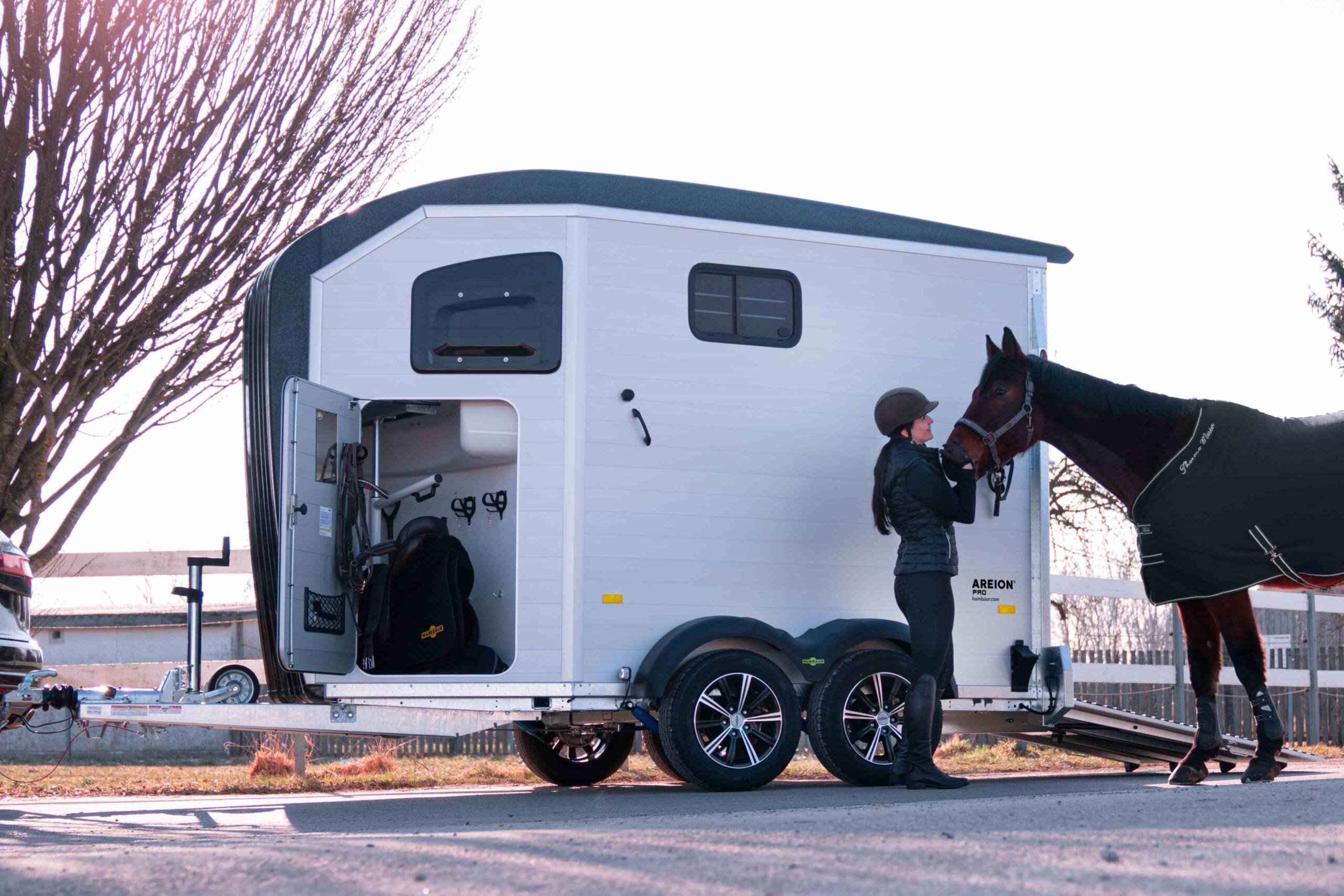 Humbaur Pferdeanhänger Pegasus